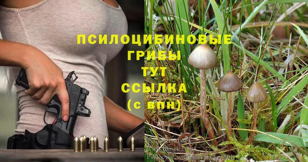 кокс Бердск