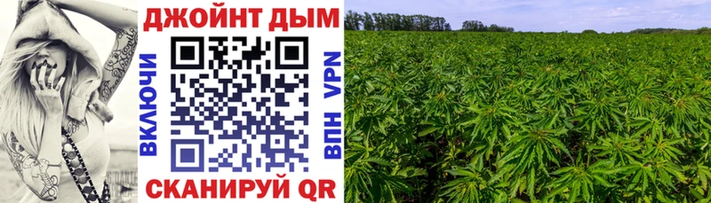 Купить закладки  Камбарка  Конопля Ganja 